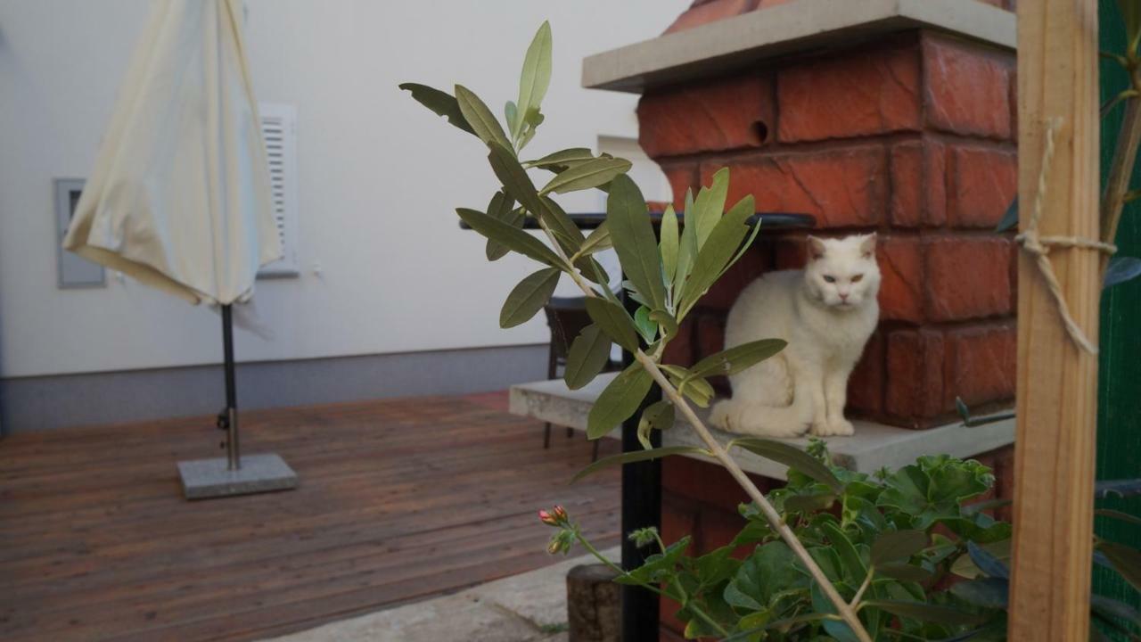 Apartmani Filip Zadar Diklo Exterior photo